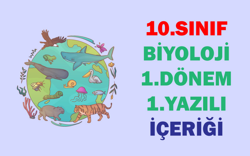 10.Sınıf Biyoloji 1.Dönem 1.Yazılı