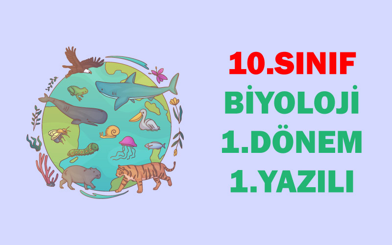 10.Sınıf Biyoloji 1.Dönem 1.Yazılı