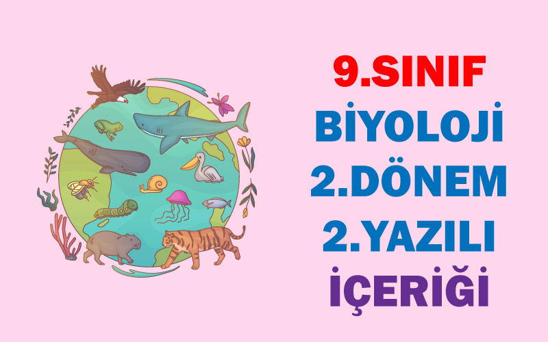9.Sınıf Biyoloji 2.Dönem 2.Yazılı