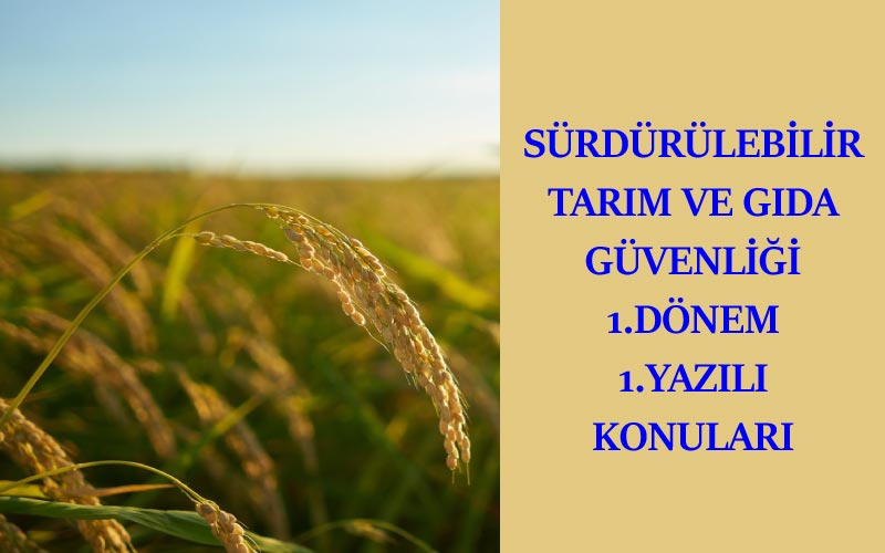 Sürdürülebilir Tarım ve Gıda Güvenliği 1.Dönem 1.Yazılı