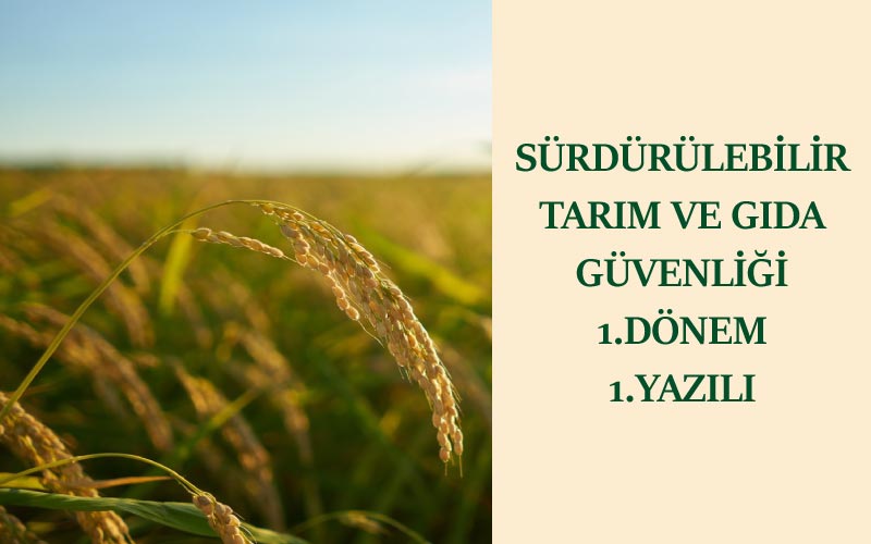 Sürdürülebilir Tarım ve Gıda Güvenliği 1.Dönem 1.Yazılı